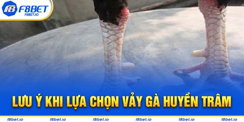 Những lưu ý cho các bạn khi tìm kiếm vảy gà huyền trâm