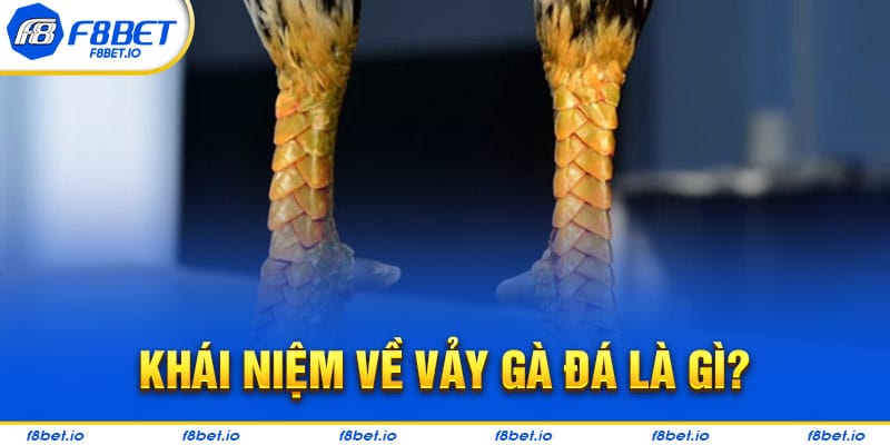 Khái niệm về vảy gà đá