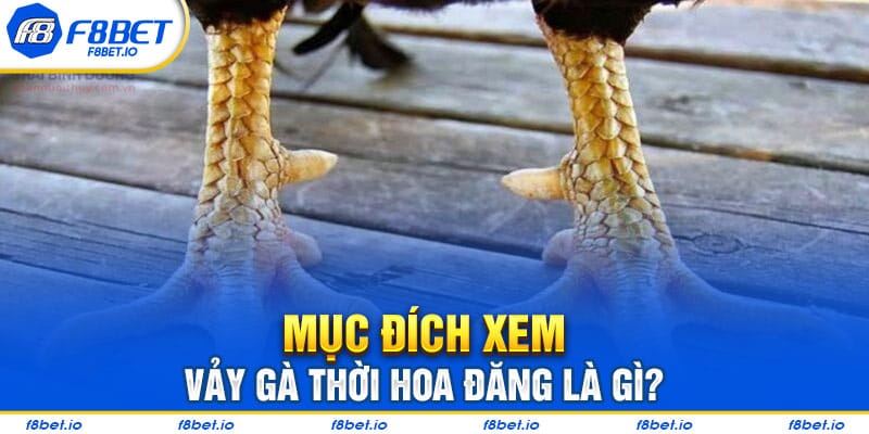 Mục đích để xem vảy gà thới hoa đăng