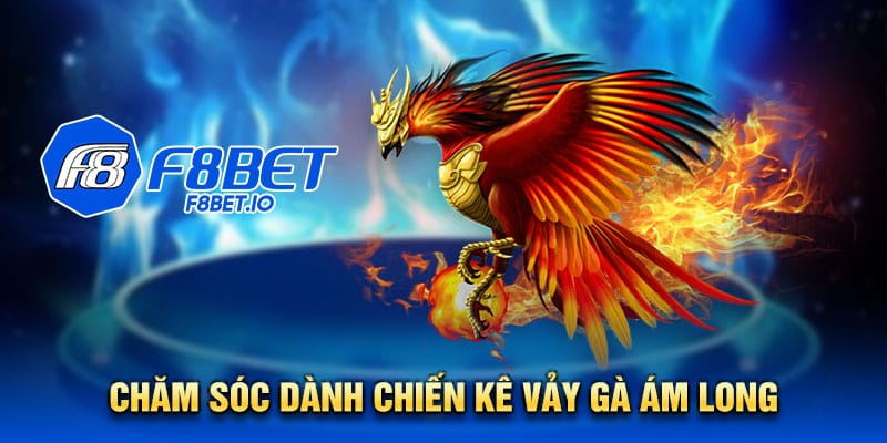 Chăm sóc cho vảy gà ám long