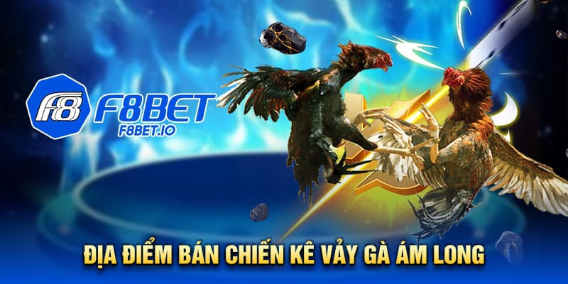 Địa điểm bán chiến kê vảy gà ám long