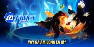 Vảy gà ám long là gì?
