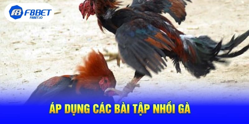 Áp Dụng Các Bài Tập Nhồi Gà