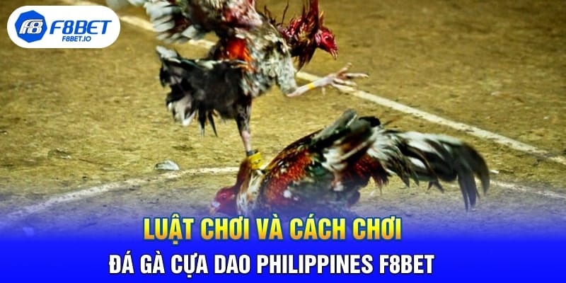 Luật Chơi Và Cách Chơi Đá Gà Cựa Dao Philippines F8BET