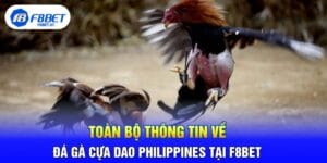 Toàn Bộ Thông Tin Về Đá Gà Cựa Dao Philippines Tại F8BET