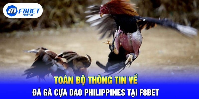 Toàn Bộ Thông Tin Về Đá Gà Cựa Dao Philippines Tại F8BET