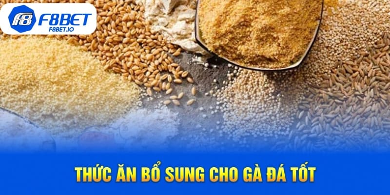 Thức Ăn Bổ Sung Cho Gà Đá Tốt Mà Bạn Nên Ghi Nhớ