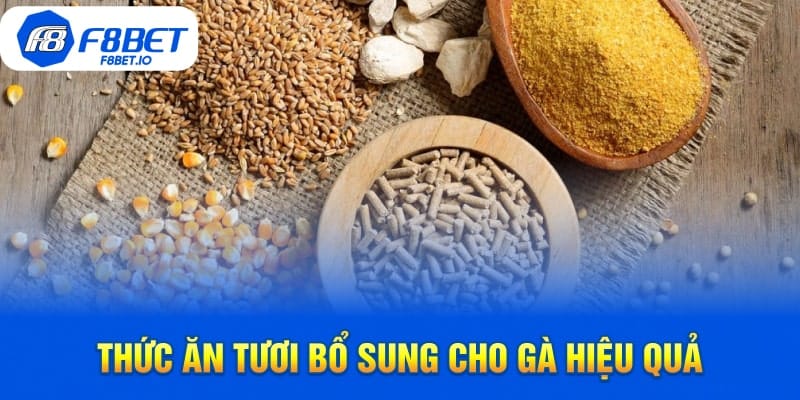 Thức Ăn Tươi Bổ Sung Cho Gà Hiệu Quả