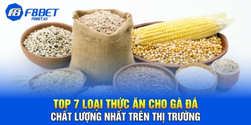 Top 7 Loại Thức Ăn Cho Gà Đá Chất Lượng Trên Thị Trường
