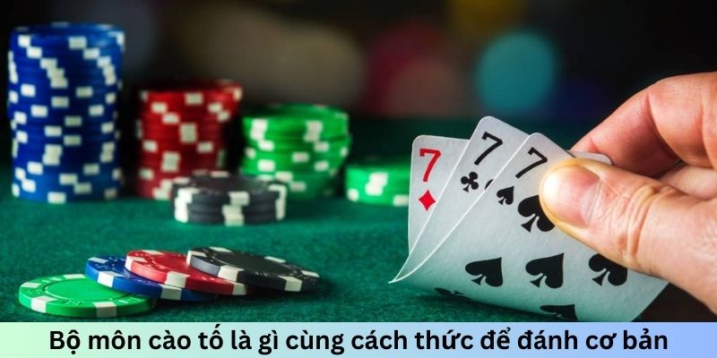  Bộ môn cào tố là gì cùng cách thức để đánh cơ bản